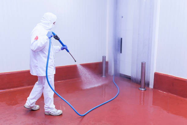 Pre-Holiday Cleaning in Orem, UT